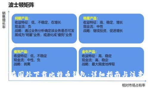 如何在国外下载比特币钱包:详细指南与注意事项