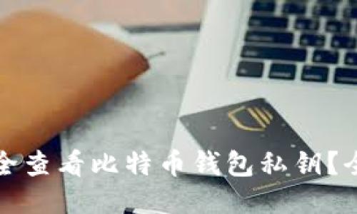 如何安全查看比特币钱包私钥?全面指南