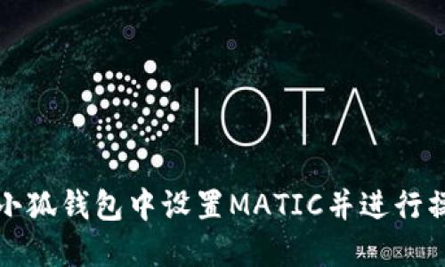 如何在小狐钱包中设置MATIC并进行操作详解