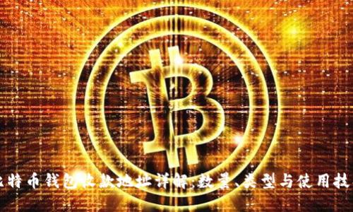 比特币钱包收款地址详解:数量、类型与使用技巧