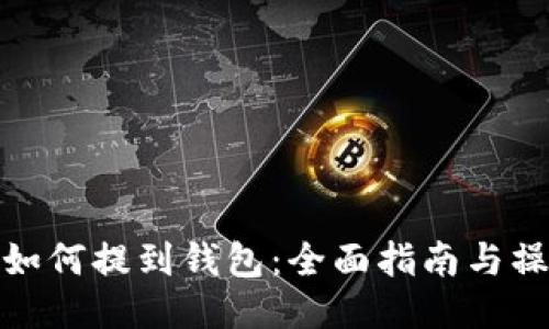 狗狗币如何提到钱包:全面指南与操作步骤