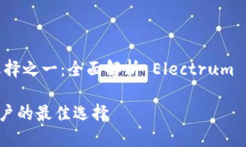 在电子货币世界中最安全的选择之一:全面解析 Electrum 钱包对 Litecoin(LTC)的支持
Electrum 钱包:Litecoin 用户的最佳选择