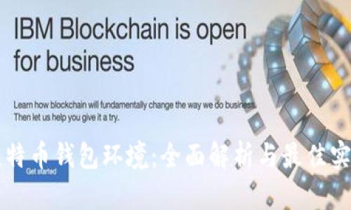 比特币钱包环境:全面解析与最佳实践