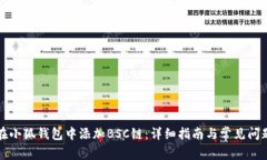如何在小狐钱包中添加BSC链：详细指南