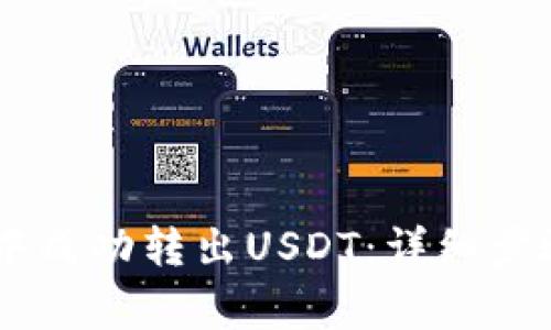 如何从Onto钱包中成功转出USDT:详细步骤与常见问题解析