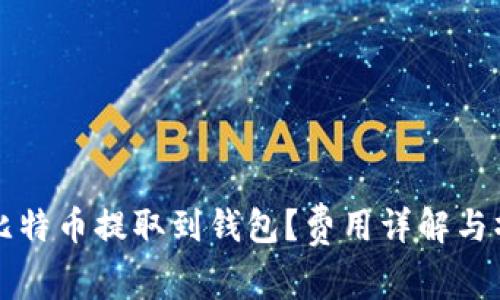 如何将比特币提取到钱包?费用详解与操作指南