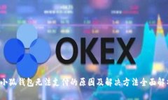  小狐钱包无法支付的原因及解决方法全面解析