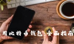 如何安全使用比特币钱包：全面指南与