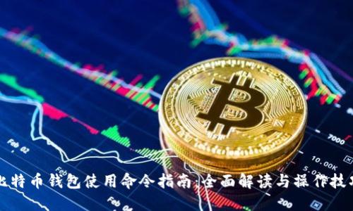 比特币钱包使用命令指南：全面解读与操作技巧