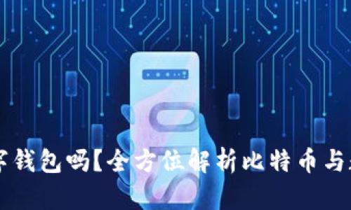 比特币需要数字钱包吗?全方位解析比特币与数字钱包的关系