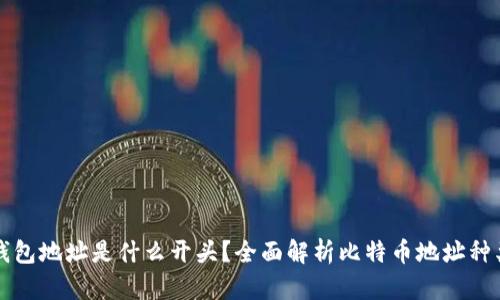 比特币钱包地址是什么开头?全面解析比特币地址种类与特点