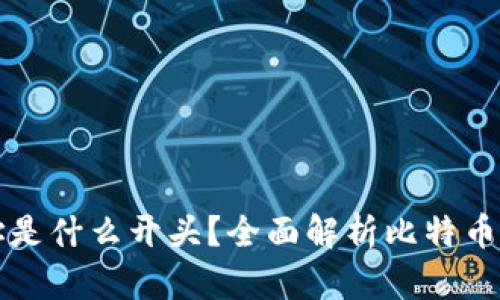 比特币钱包地址是什么开头?全面解析比特币地址种类与特点