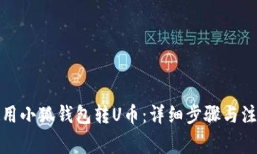 如何使用小狐钱包转U币:详细步骤与注意事项