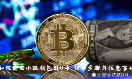 如何使用小狐钱包转U币:详细步骤与注意事项