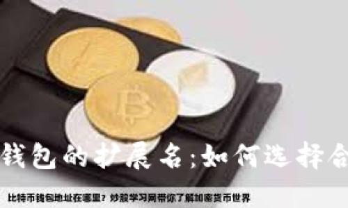 深入探讨比特币钱包的扩展名：如何选择合适的比特币钱包
