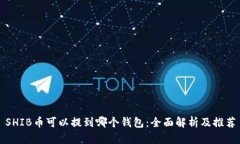 SHIB币可以提到哪个钱包：全面解析及