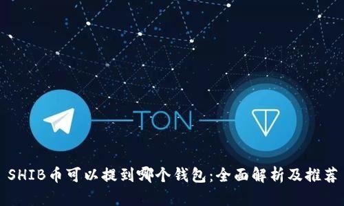 SHIB币可以提到哪个钱包:全面解析及推荐
