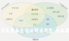 如何选择和充值比特币钱包：全面指南