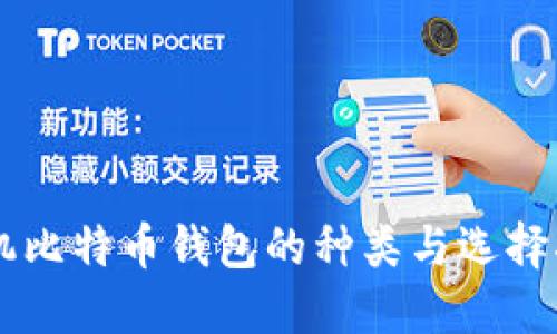 手机比特币钱包的种类与选择指南