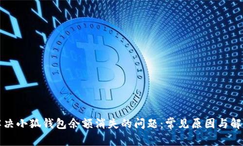 如何解决小狐钱包余额消失的问题:常见原因与解决方案