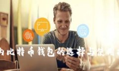国内比特币钱包的选择与使用指南