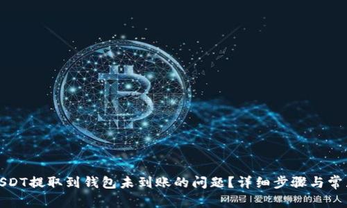 如何解决USDT提取到钱包未到账的问题?详细步骤与常见问题解答