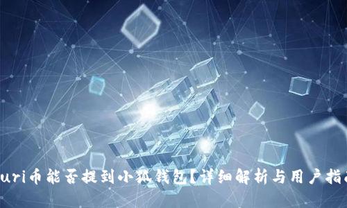 yuri币能否提到小狐钱包？详细解析与用户指南