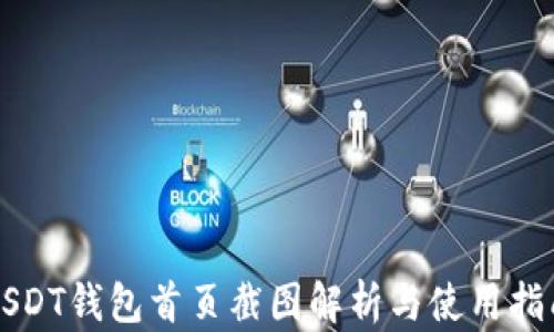 
USDT钱包首页截图解析与使用指南