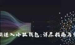 如何顺利重新进入小狐钱包：详尽指南