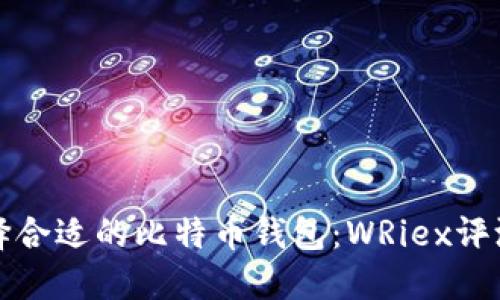 如何选择合适的比特币钱包:WRiex评测与指南