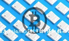 如何在钱包中添加Solana（SOL）链：详细
