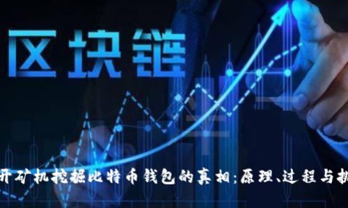 揭开矿机挖掘比特币钱包的真相:原理、过程与挑战