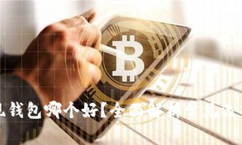 比特币提现钱包哪个好?全面解析常见选择与安全性