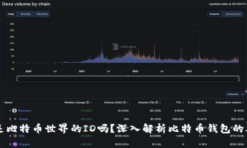 钱包地址是比特币世界的ID吗?深入解析比特币钱包的本质与功能