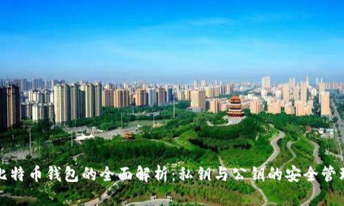 比特币钱包的全面解析:私钥与公钥的安全管理