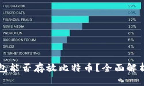 Token.im钱包能否存放比特币?全面解析与使用攻略