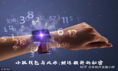 小狐钱包与风水：财运提升的秘密