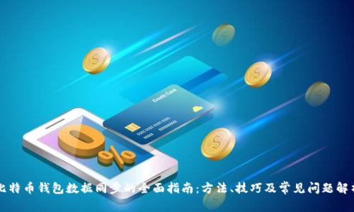 比特币钱包数据同步的全面指南:方法、技巧及常见问题解析