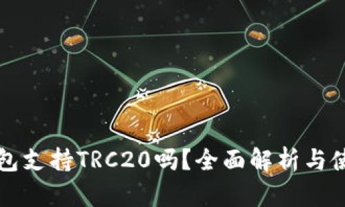 小狐钱包支持TRC20吗?全面解析与使用指南