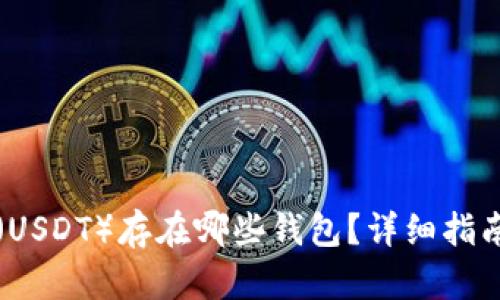泰达币(USDT)存在哪些钱包?详细指南与推荐