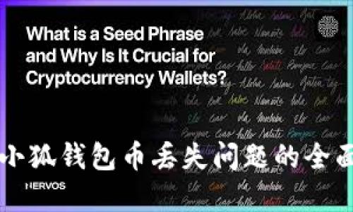 解决小狐钱包币丢失问题的全面指南