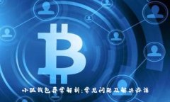 小狐钱包异常解析：常见问题及解决办
