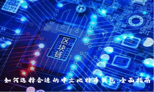 如何选择合适的中文比特币钱包：全面指南