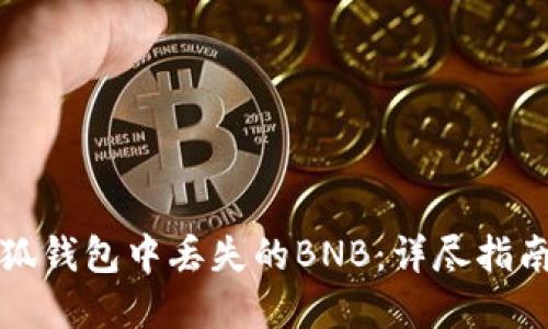 如何处理小狐钱包中丢失的BNB:详尽指南与解决方案