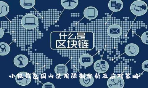 小狐钱包国内使用限制分析及应对策略
