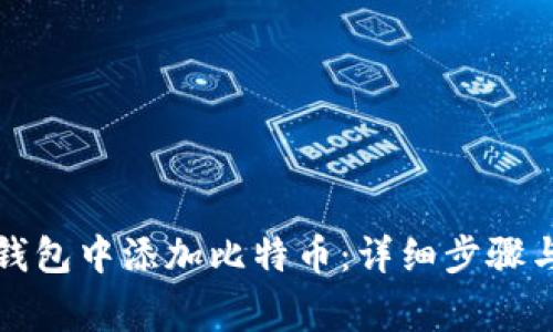 如何在小狐狸钱包中添加比特币:详细步骤与常见问题解答