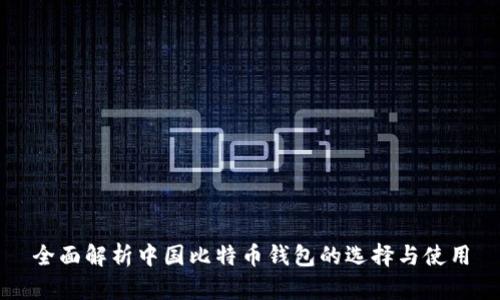 全面解析中国比特币钱包的选择与使用