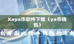 全面解析中国比特币钱包的选择与使用