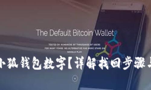 如何找回小狐钱包数字?详解找回步骤与注意事项