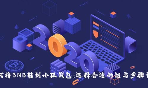 如何将BNB转到小狐钱包:选择合适的链与步骤详解